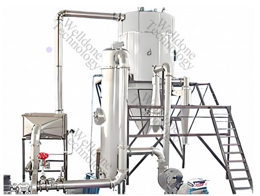 Macchina per essiccazione a spruzzo industriale con essiccatore a spruzzo per proteine ​​isolate di foglie di piante di pisello su misura a livello di farmacia
